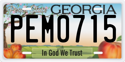 GA license plate PEM0715