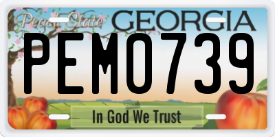 GA license plate PEM0739