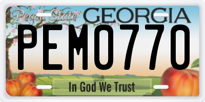 GA license plate PEM0770
