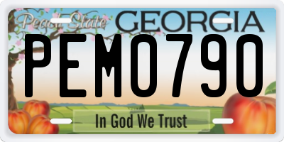 GA license plate PEM0790