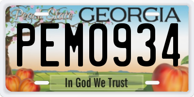 GA license plate PEM0934