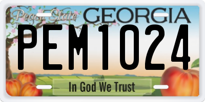 GA license plate PEM1024