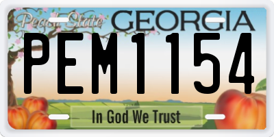 GA license plate PEM1154