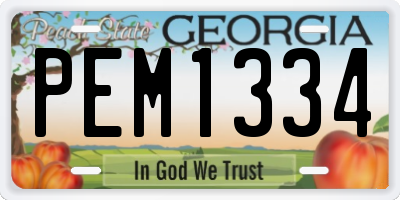GA license plate PEM1334