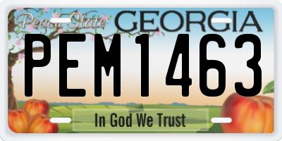 GA license plate PEM1463