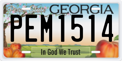 GA license plate PEM1514