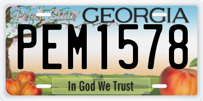 GA license plate PEM1578
