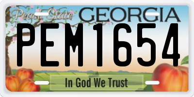 GA license plate PEM1654