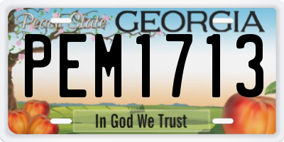 GA license plate PEM1713