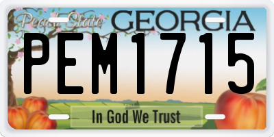 GA license plate PEM1715