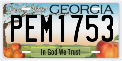 GA license plate PEM1753