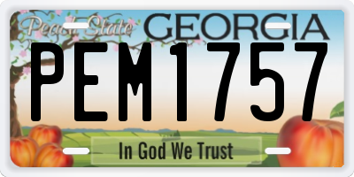 GA license plate PEM1757