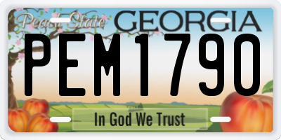 GA license plate PEM1790