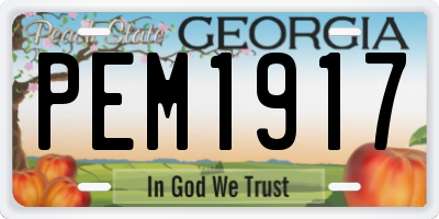 GA license plate PEM1917