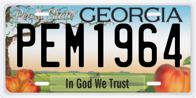 GA license plate PEM1964
