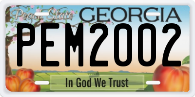 GA license plate PEM2002