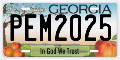 GA license plate PEM2025