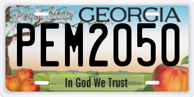 GA license plate PEM2050