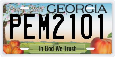 GA license plate PEM2101