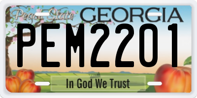 GA license plate PEM2201