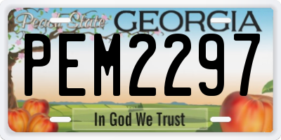 GA license plate PEM2297