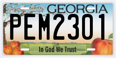 GA license plate PEM2301