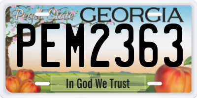 GA license plate PEM2363