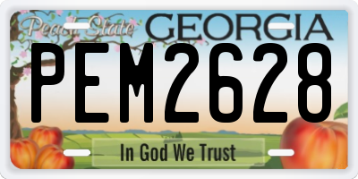 GA license plate PEM2628