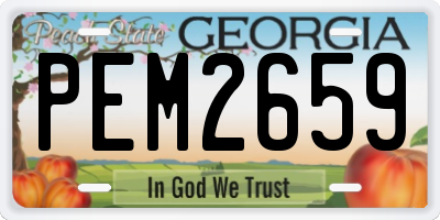 GA license plate PEM2659