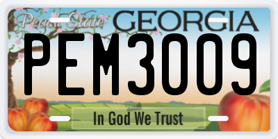 GA license plate PEM3009
