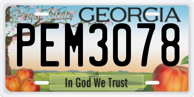 GA license plate PEM3078