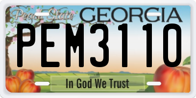 GA license plate PEM3110