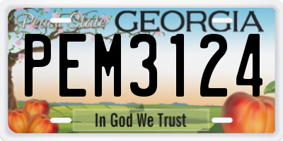 GA license plate PEM3124