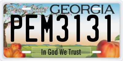 GA license plate PEM3131