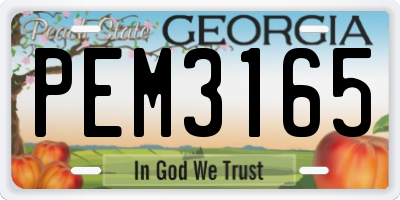GA license plate PEM3165
