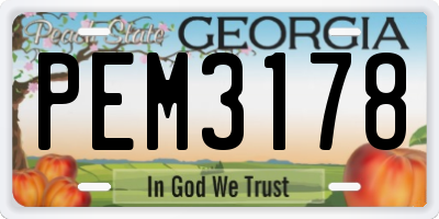GA license plate PEM3178