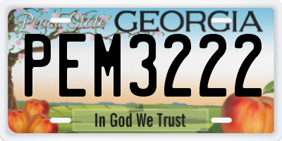 GA license plate PEM3222
