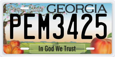 GA license plate PEM3425