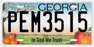GA license plate PEM3515