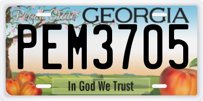 GA license plate PEM3705