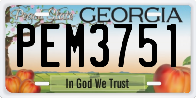 GA license plate PEM3751