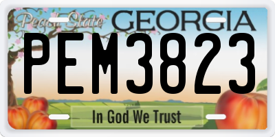 GA license plate PEM3823