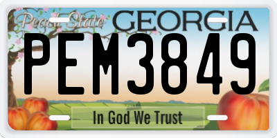 GA license plate PEM3849