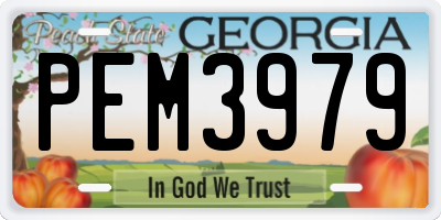 GA license plate PEM3979