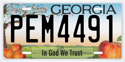 GA license plate PEM4491