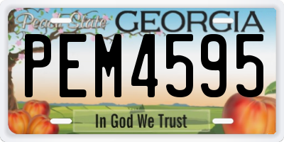 GA license plate PEM4595
