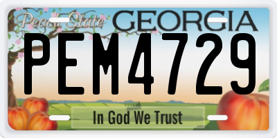GA license plate PEM4729