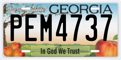 GA license plate PEM4737