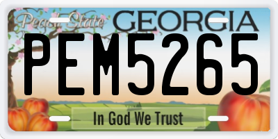 GA license plate PEM5265