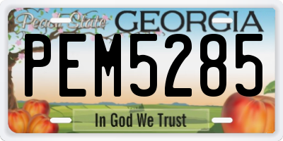 GA license plate PEM5285